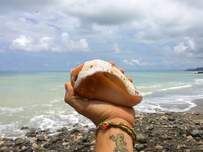 I tried making a call on this conch, but apparently it was a one-way channel.