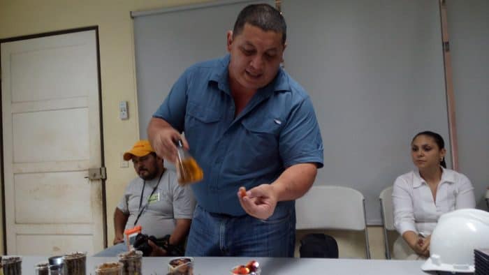 Julio Chinchilla, a foreman at the Palma Tica plant, shows off the fruit of the African palm and the oil that is extracted from it.