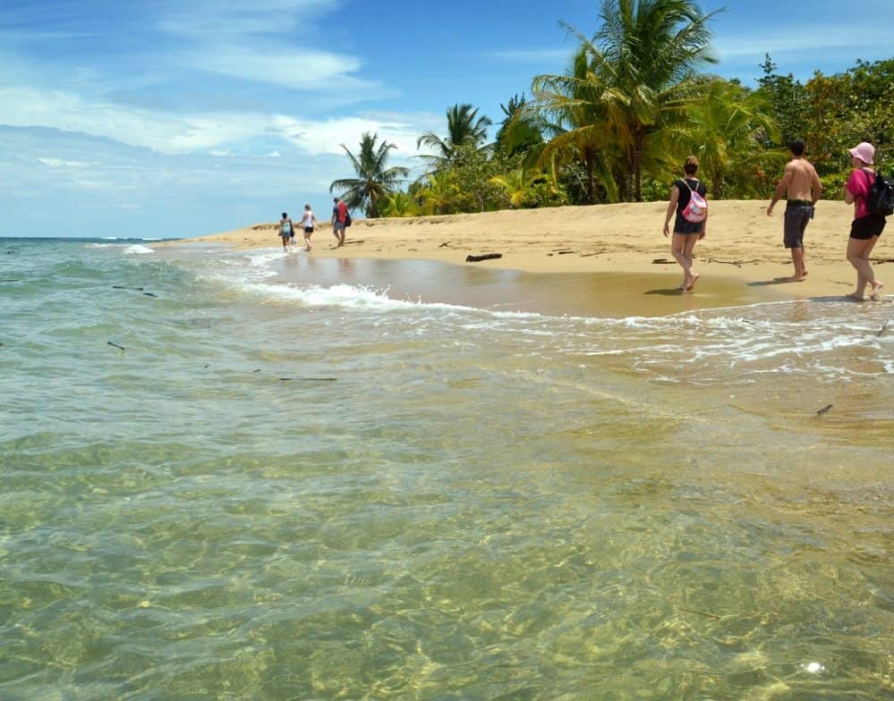 Pic of the Day Punta Uva The Tico Times Costa Rica News Travel