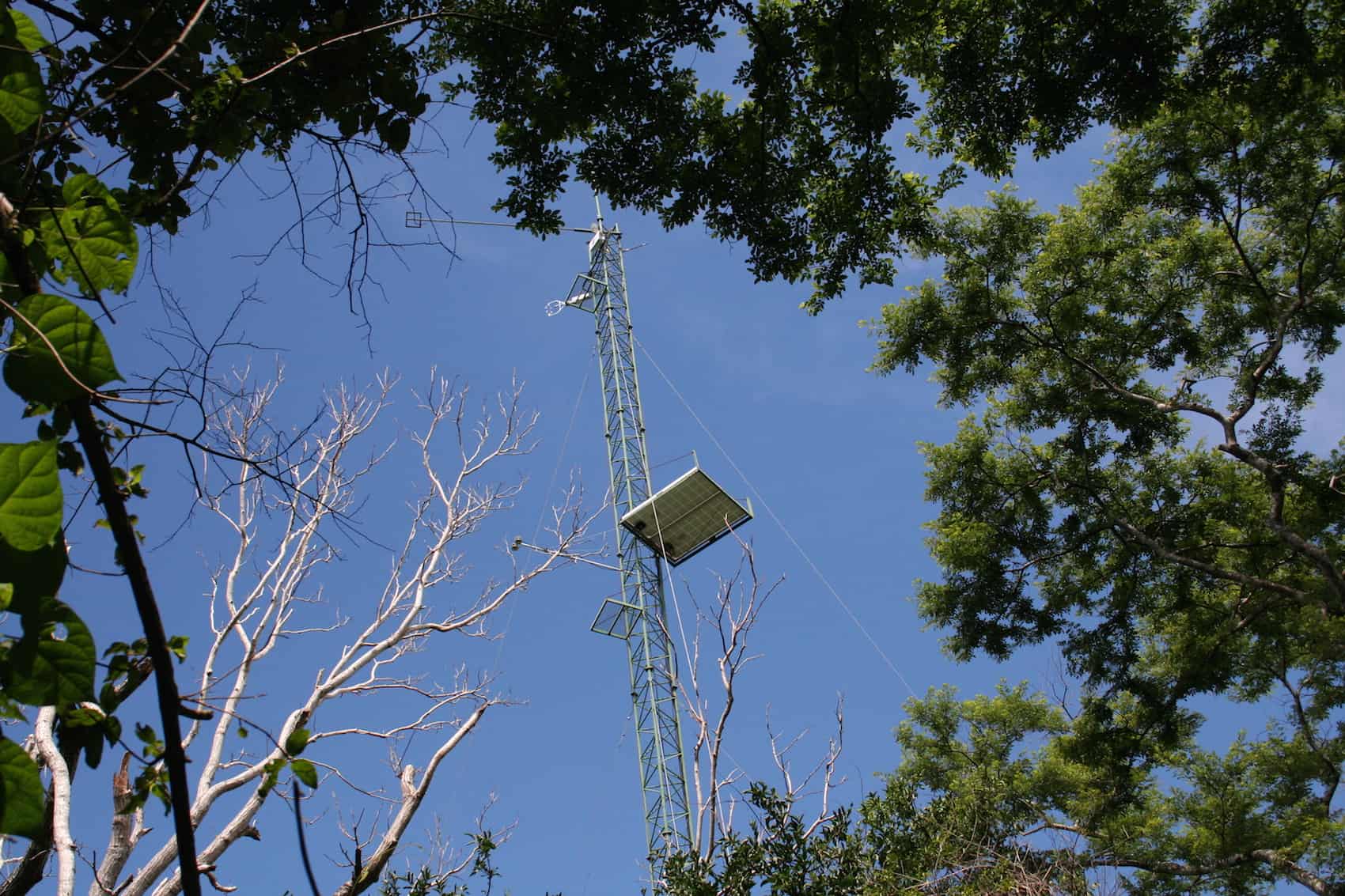research tower in Santa Rosa