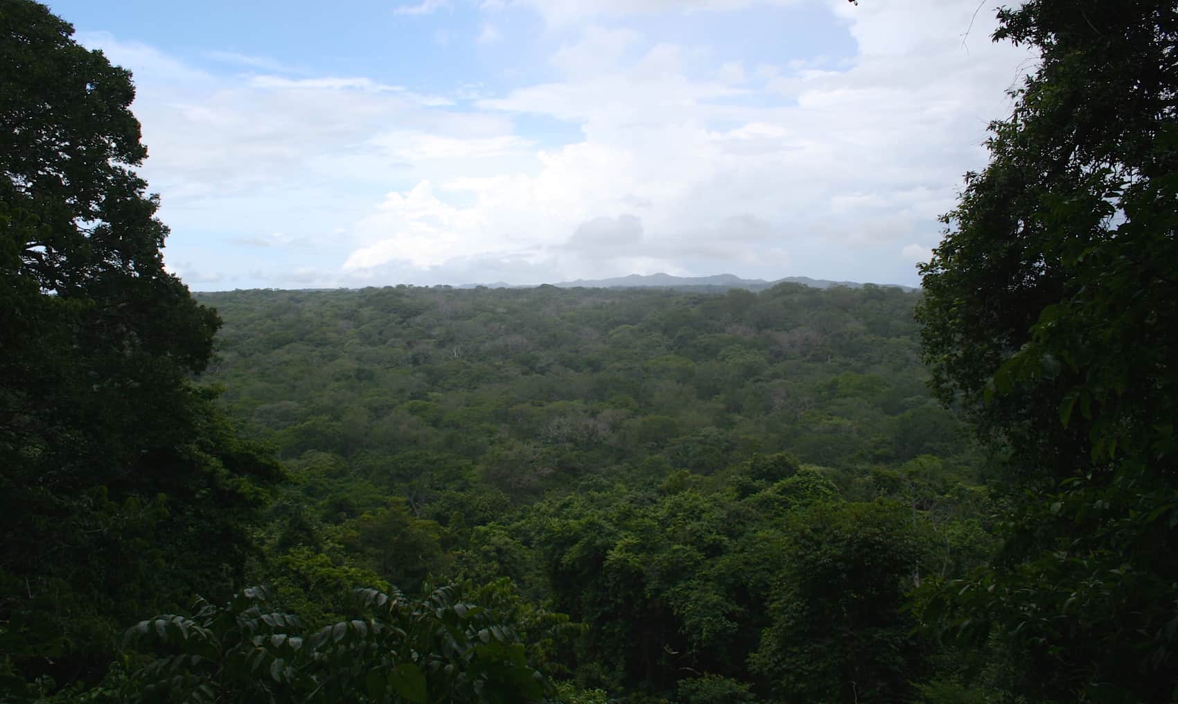 tropical dry forest Santa Rosa National Park