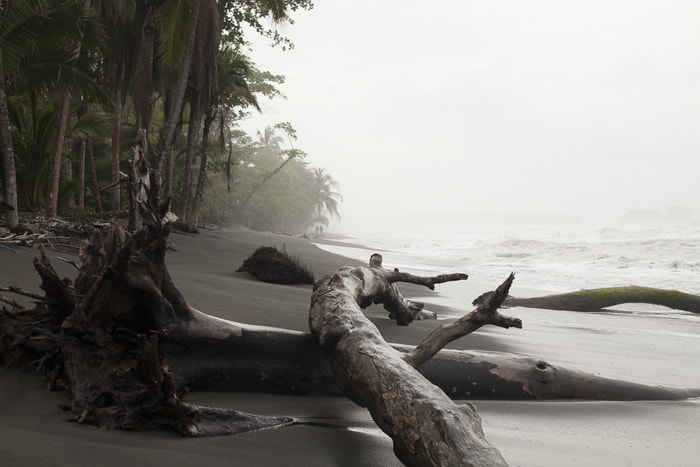 Black sand meets mist and jungle in the wilderness of Gandoca.
