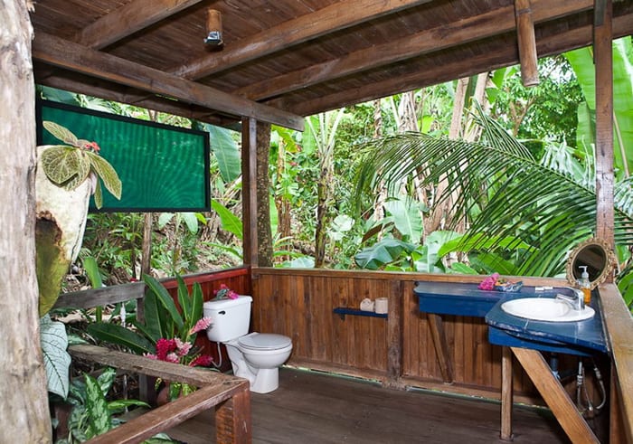 En suite rain forest bathroom, with shower head hanging from the ceiling.