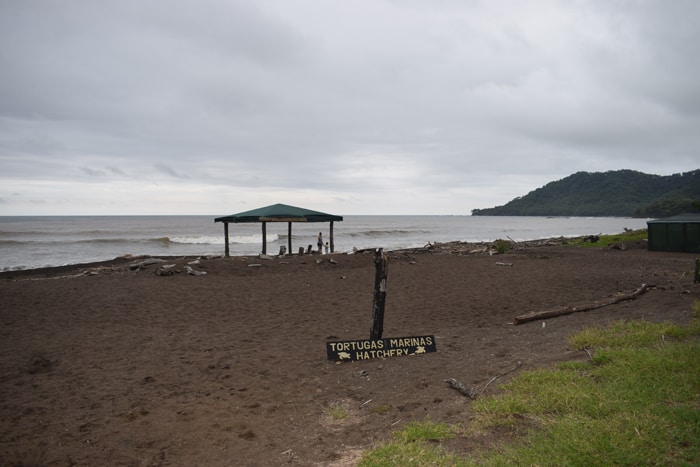 The beach in front of refuge headquarters.