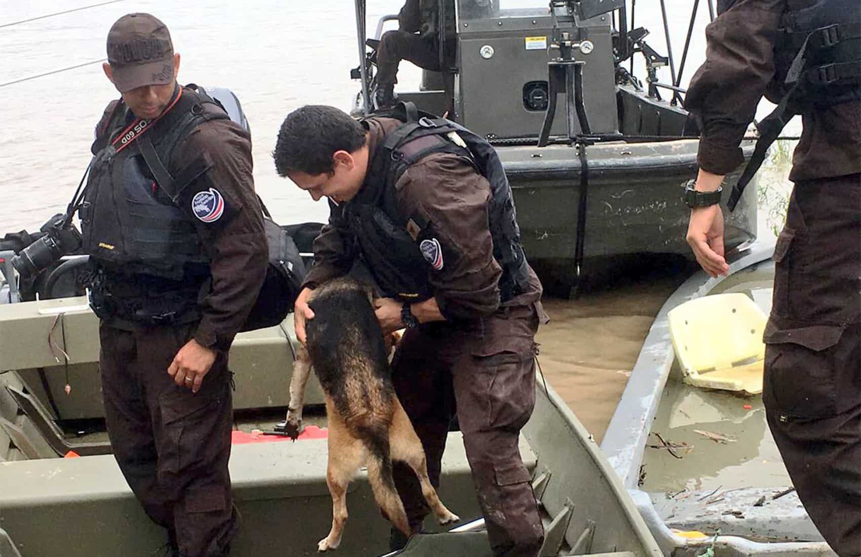 National Police officers rescue animals. Nov. 24, 2016