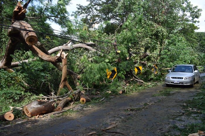 A one-lane bridge in Potrero where workers cleared a fallen tree that knocked down power lines Thursday.