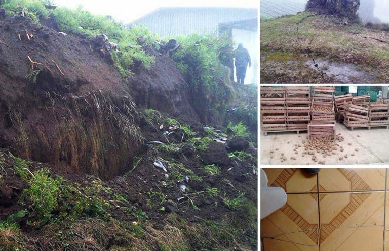 Earthquake in Cartago damaged dozens of houses