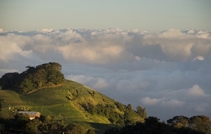 ticotimes.net - Tico Times - Near-Freezing Chill Hits Costa Rica's Peaks, Catching Tourists Off Guard : The Tico Times | Costa Rica News | Travel | Real Estate