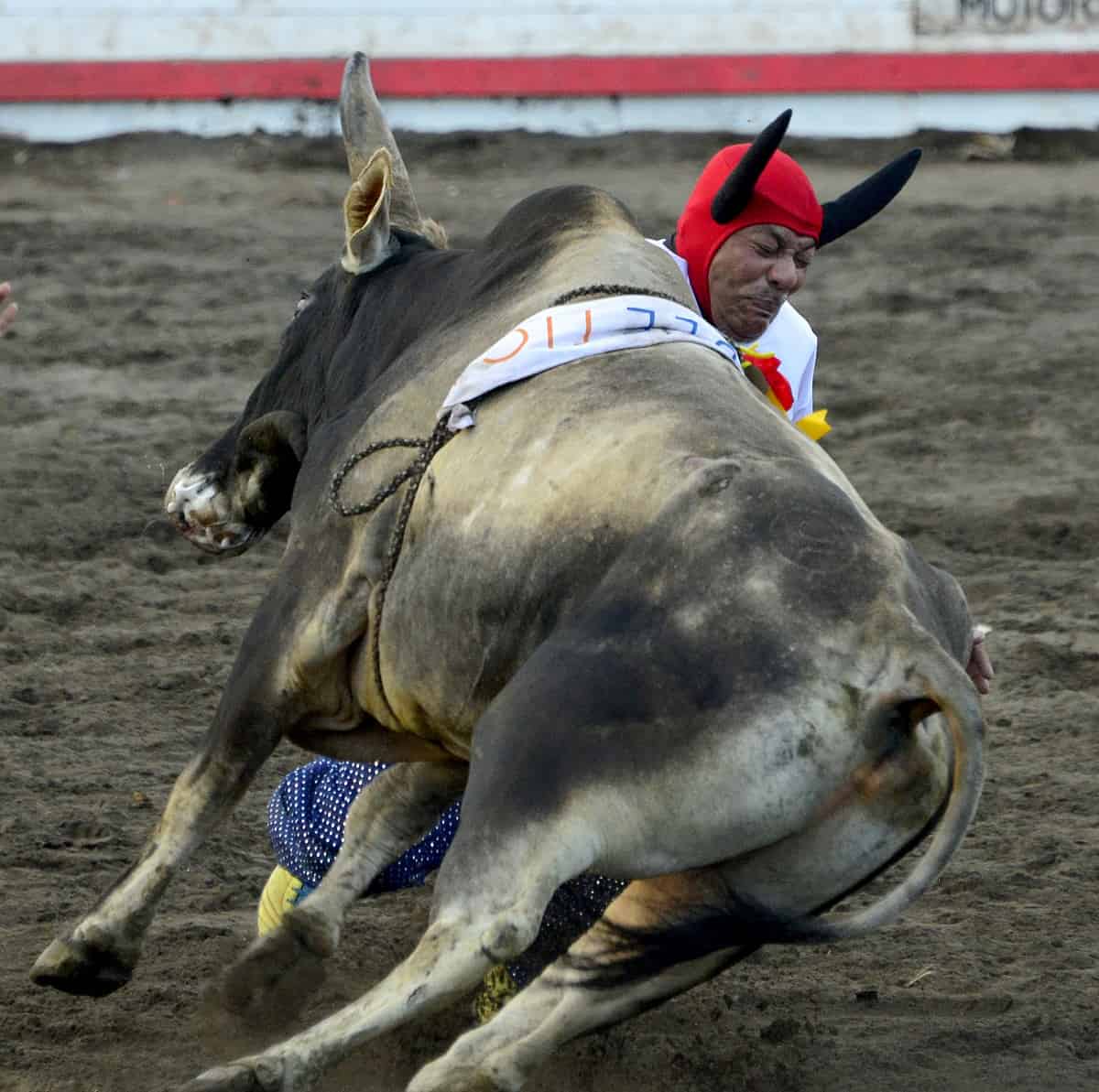 Costa Rica Festival de Zapote