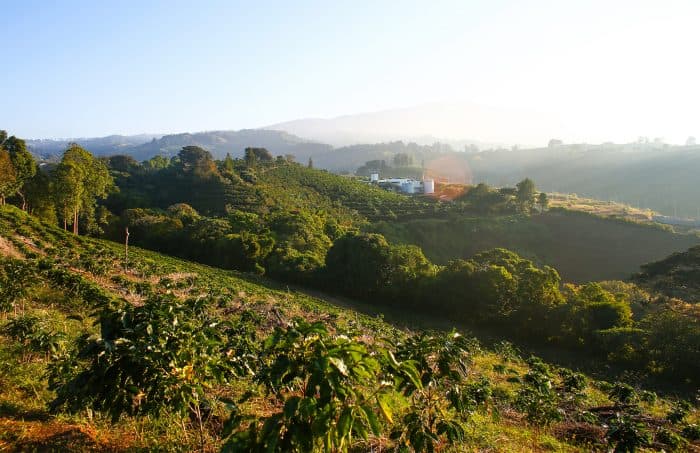 Starbucks Hacienda Alsacia in Poás, Alajuela. 2016.