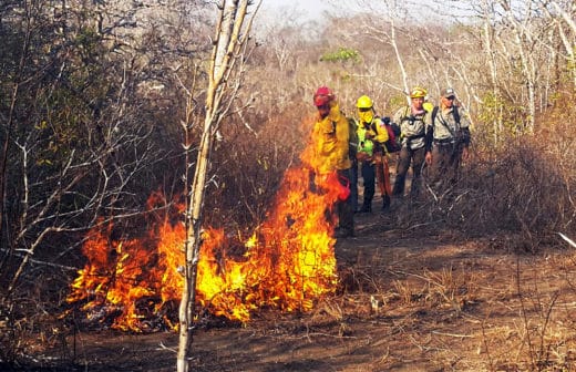 Costa Rica: Environment officials report spike in wildfires