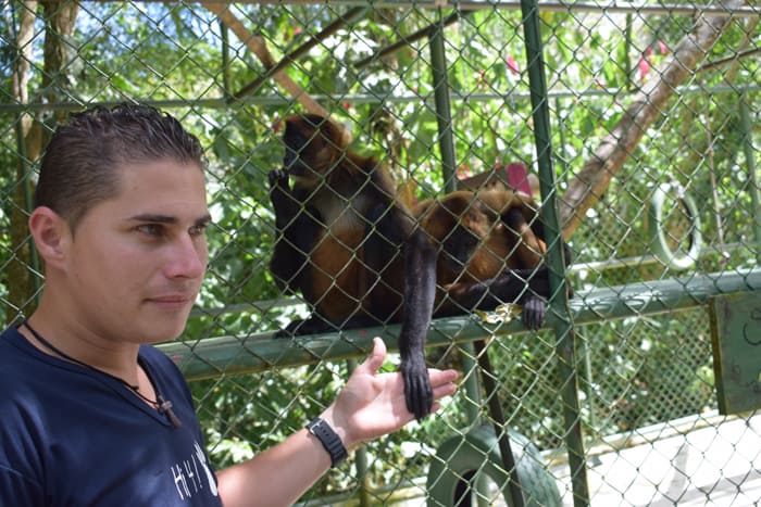 Carlos Barrantes holds the hand of a spider monkey he calls his "princess."