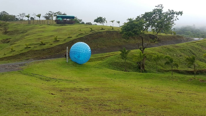 Here's something you don't see every day: A giant blue ball rolling down a curvy course with two people inside laughing.