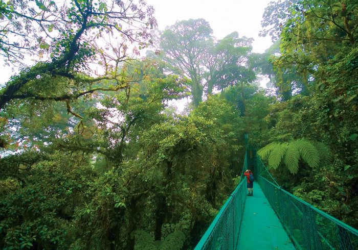 Suspension Bridge in Monteverde Costa Rica