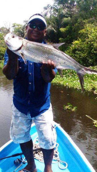 Steve Chavarría with tarpon taken in fresh water at Sierpe.