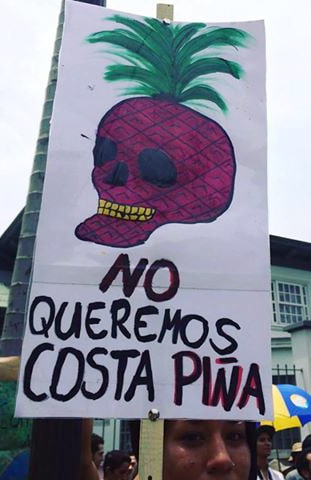 Demonstration against pineapple expansion. May 15, 2017.
