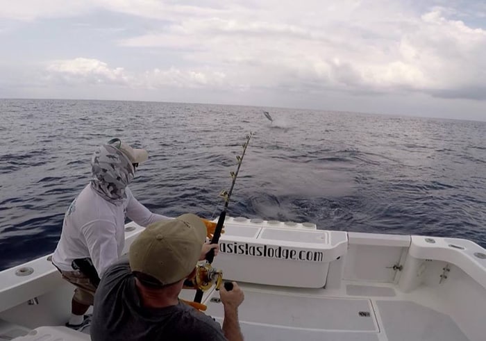 A 200-pound marlin goes airborne in the Pacific Ocean off the Golfo Dulce as the author struggles to reel it in.
