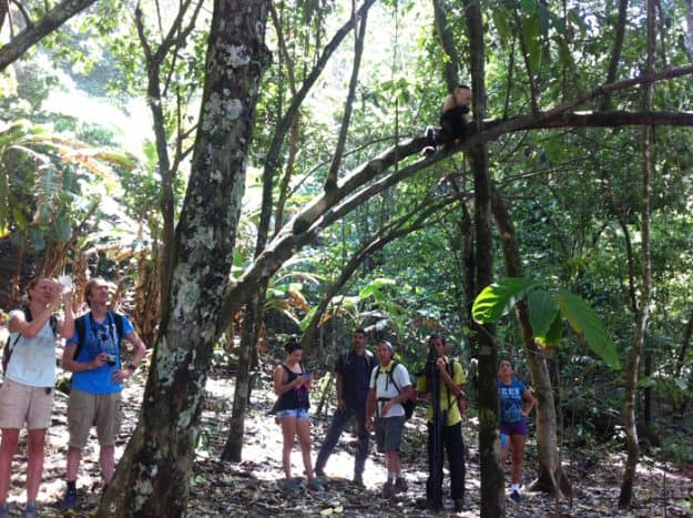 Change is coming to Corcovado National Park Costa Rica