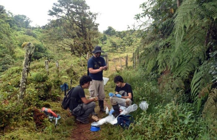 Costa Rican researchers Gilbert Alvarado y Randall Jiménez. September 2016.