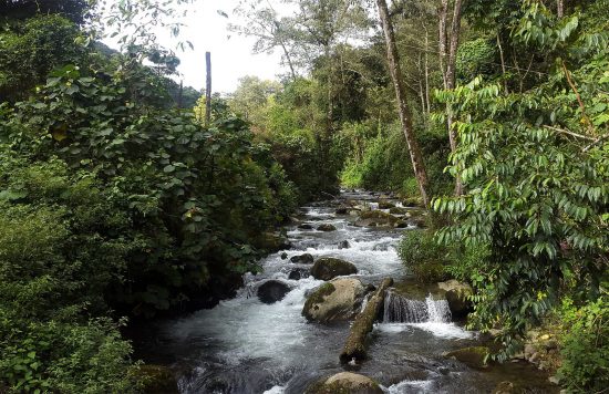 UNESCO declares Costa Rica's Savegre a Biosphere Reserve
