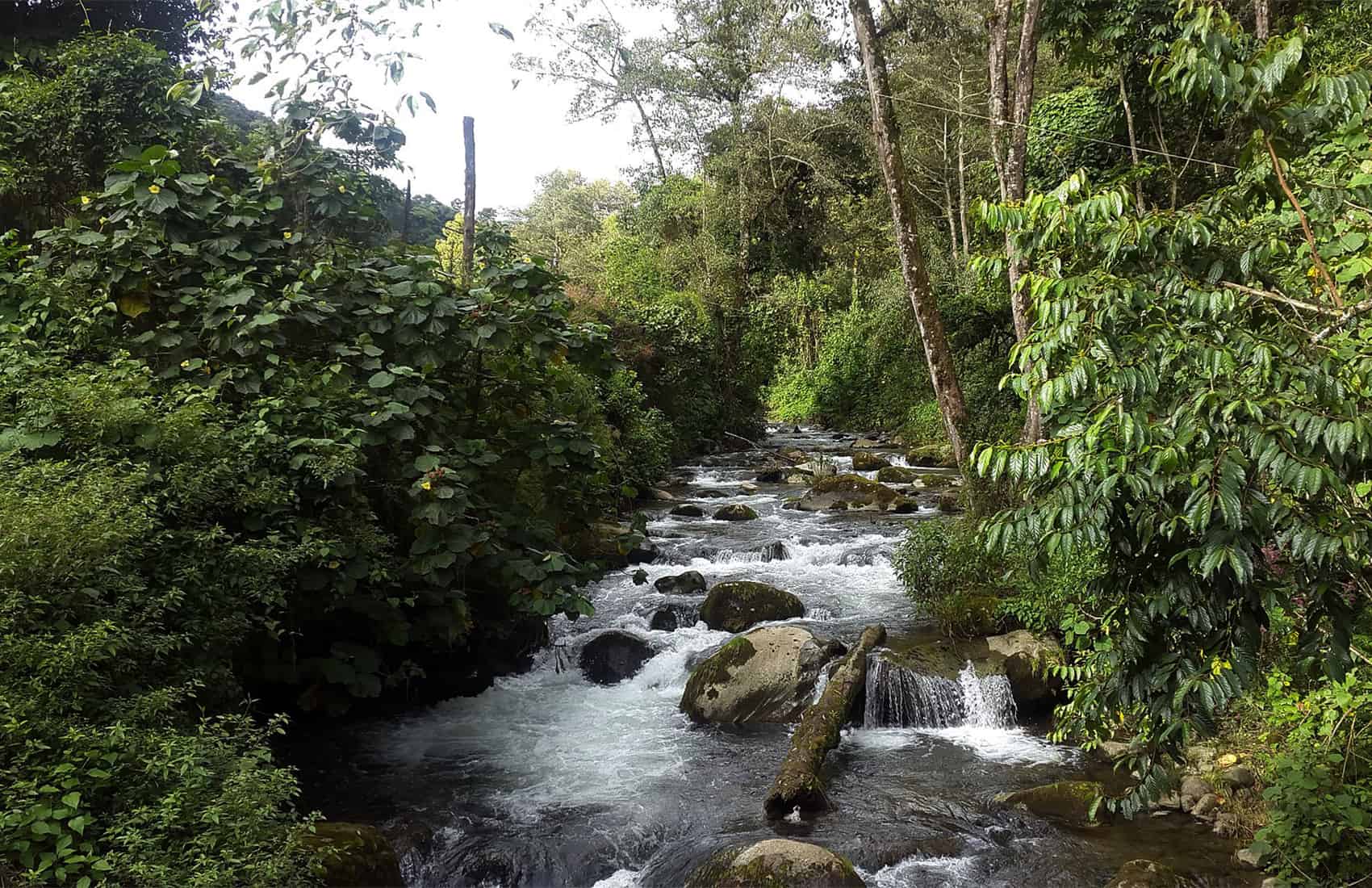 Central  Biosphere Reserve, Brazil