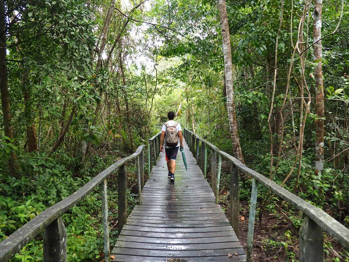 Cahuita National Park in Cahuita, Limón, Costa Rica