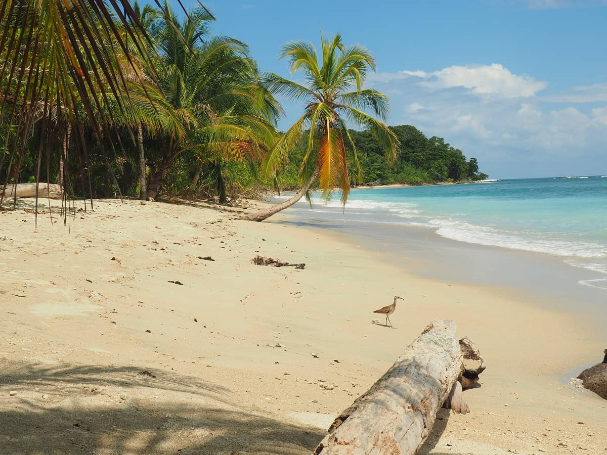 Cahuita National Park