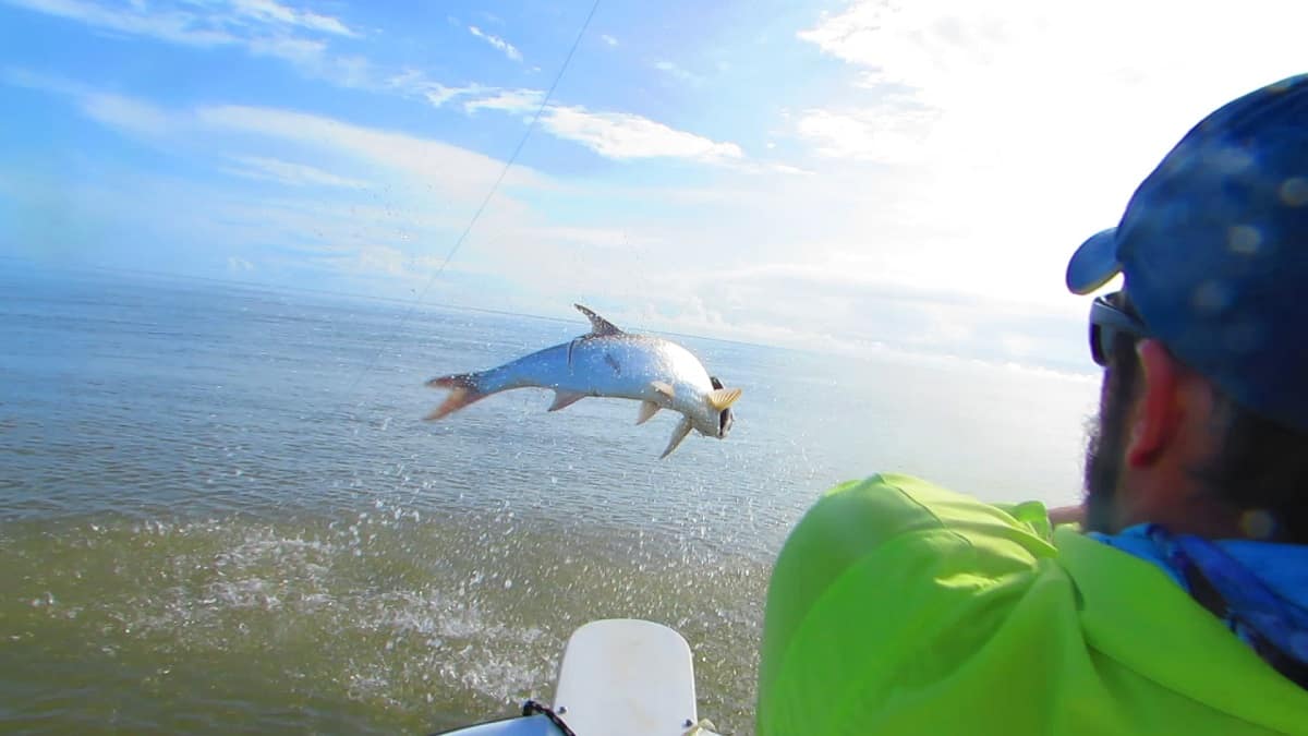 Fishing For Tarpon on Caribbean Coast Makes for Great Story 