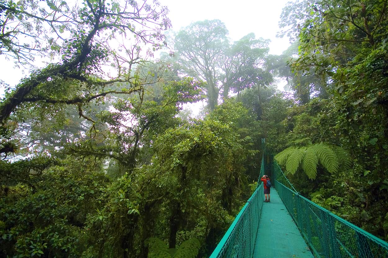 A skywalk in Monteverde, Costa Rica.