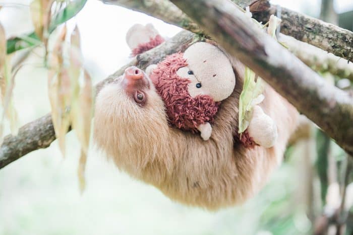 Kids Saving the Rainforest, Costa Rica