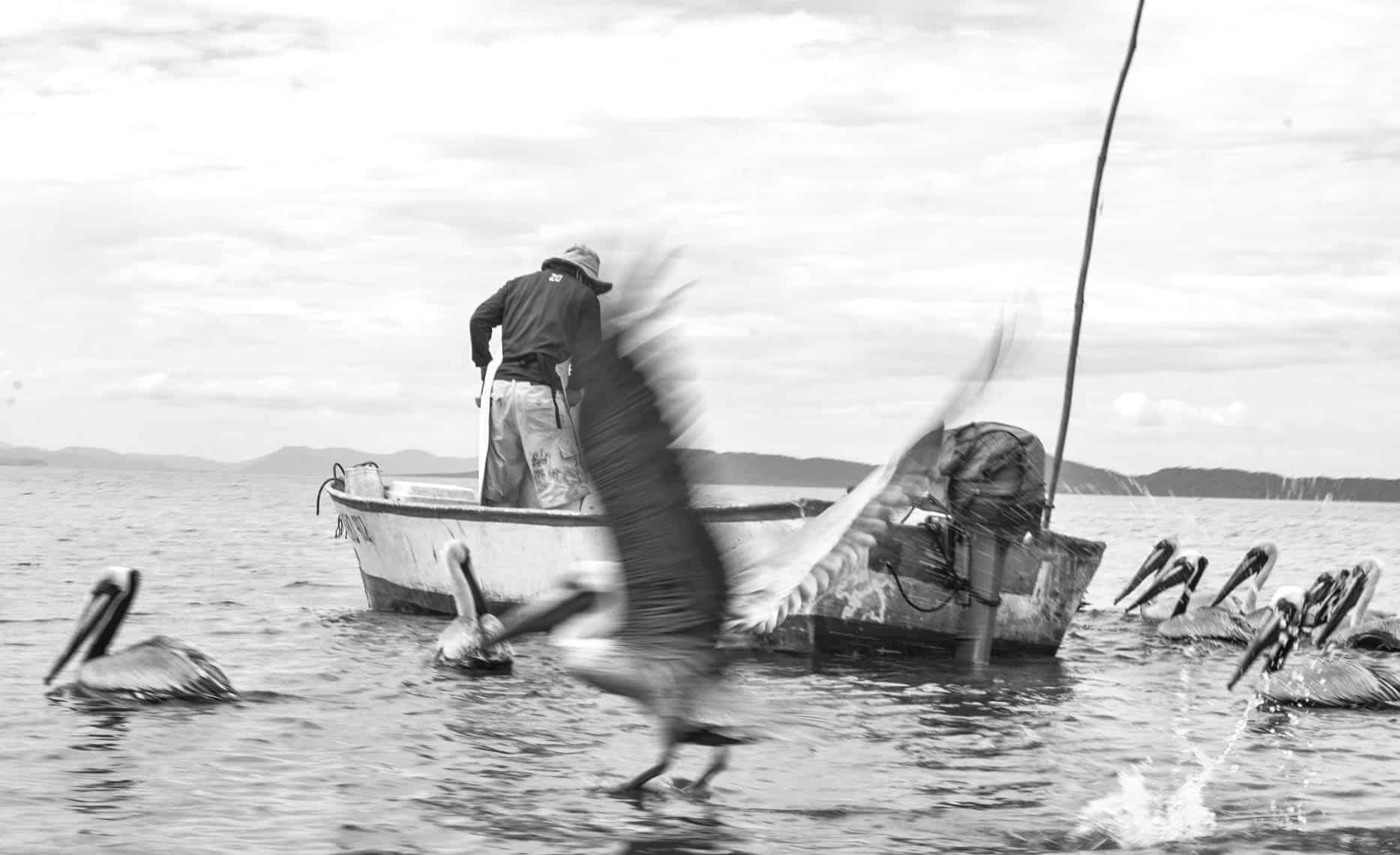 Tico Times freelancer sells photos to finance fellowship