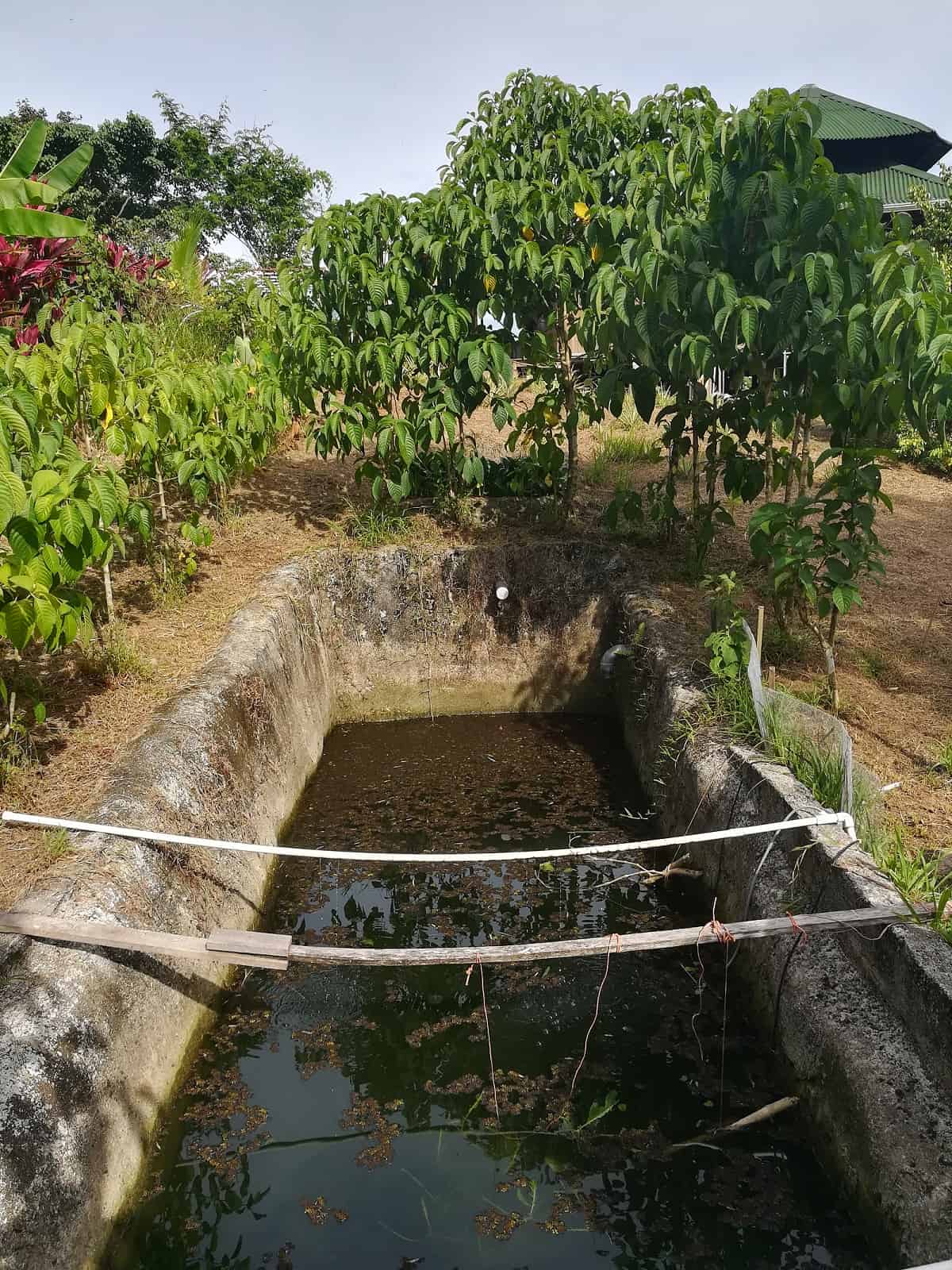 Excess Rainwater Costa Rica