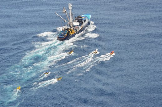 Fate of bigeye tuna in the balance in quota meet