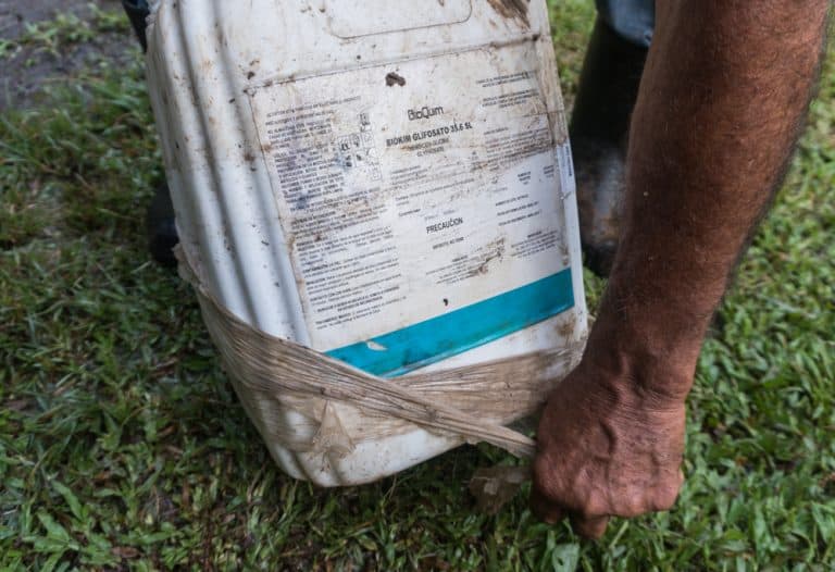 Costa Rica’s Lagoon Suffers New Pesticide Spill