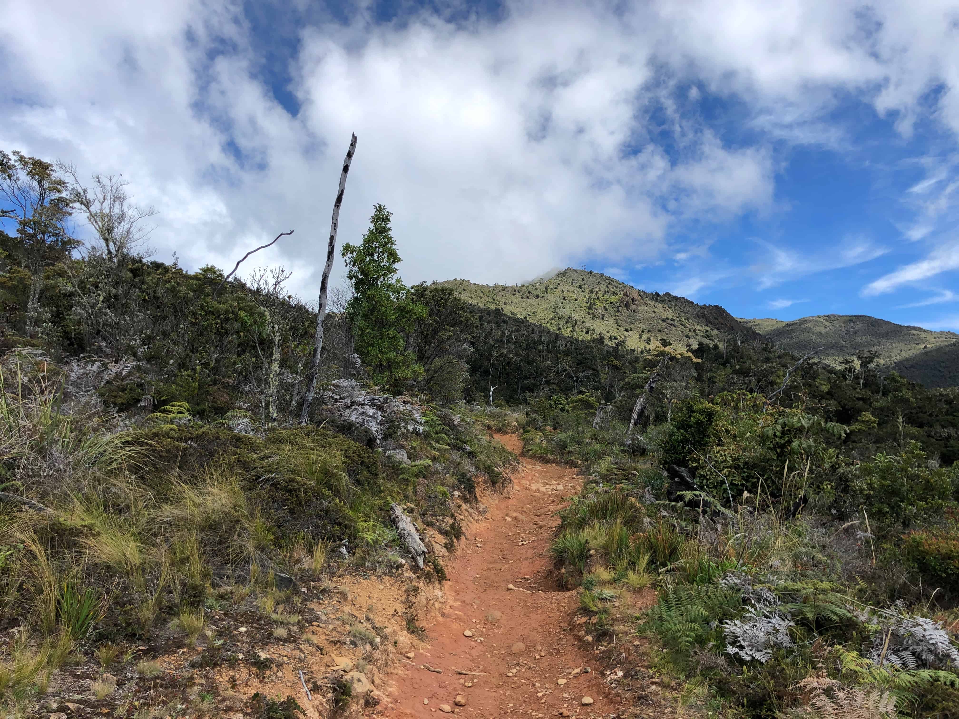 Costa Rica's Chirripo Trail in