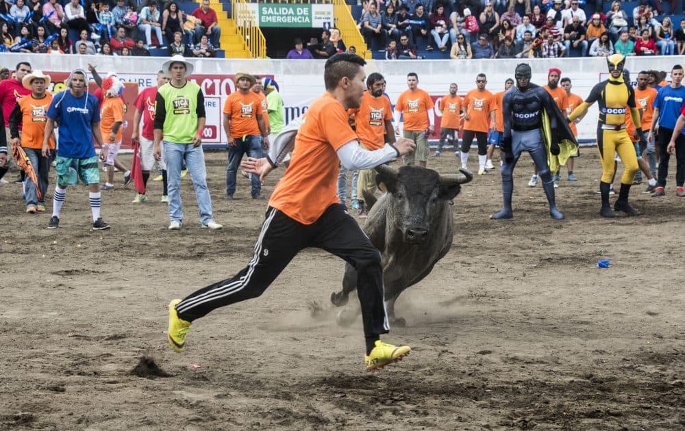 Fiestas de Zapote 2018-19