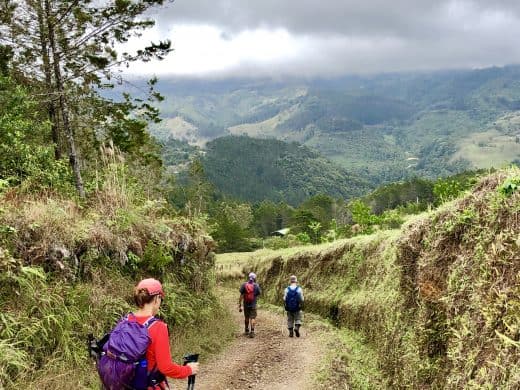 How one Costa Rican non-profit responded to the tourism crisis
