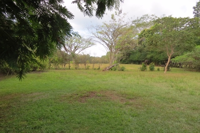 Costa Rica Farm for Sale minutes from Puerto Jimenez