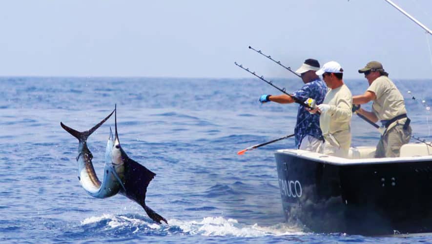 Back of a fishing boat with anglers catching a jumping sailfish in Costa Rica