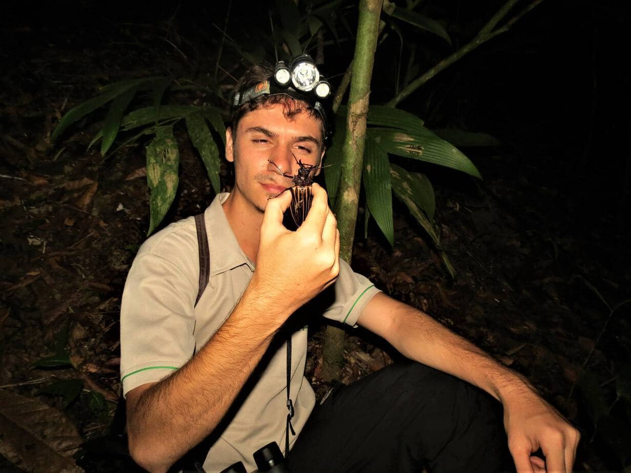A researcher holds a large beetle during fieldwork in Costa Rica. A new study based on decades of insect research in the Guanacaste Conservation Area suggests Earth may have far more insect species than previously estimated.