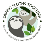 Saving Sloths Together