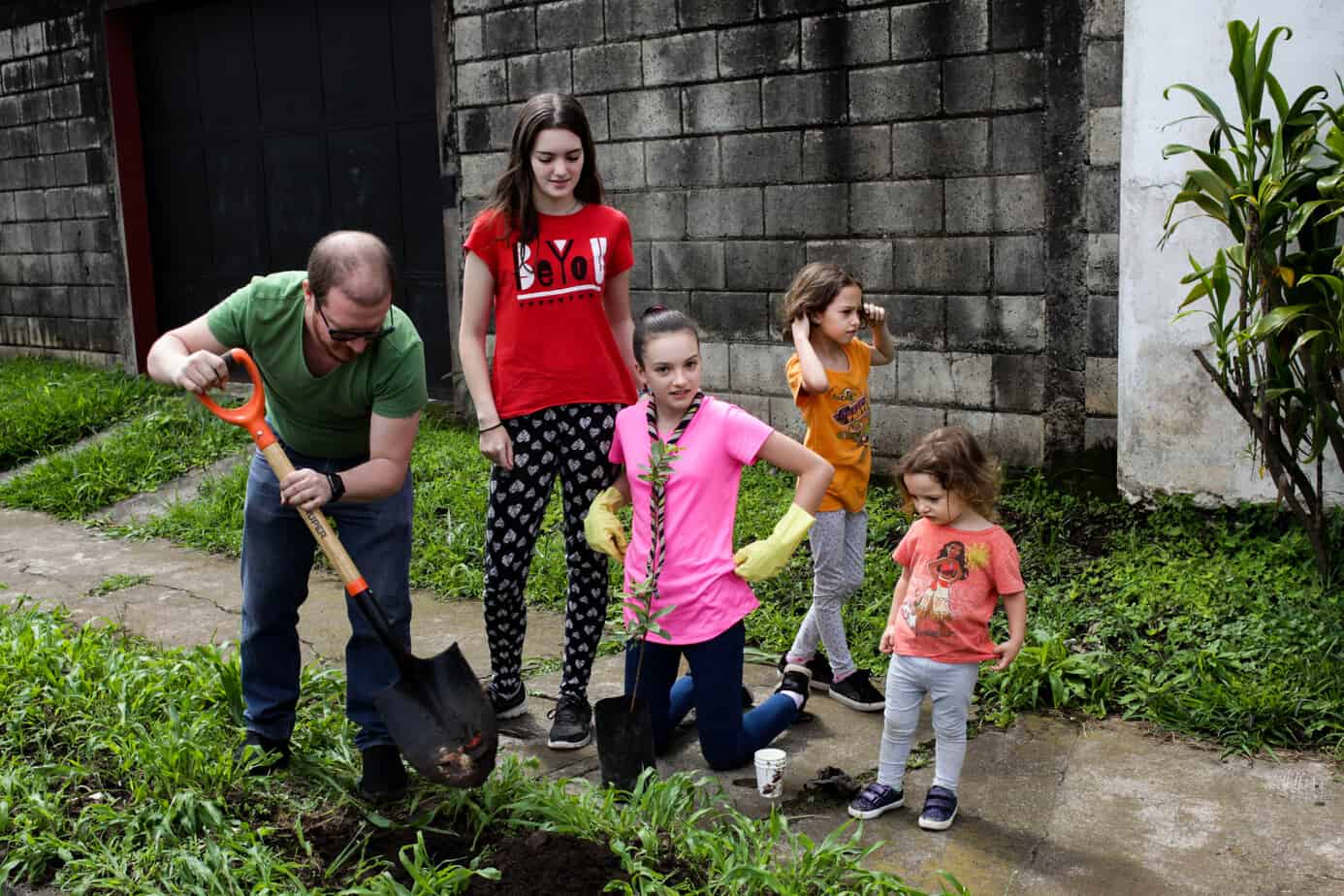 Planting trees for reforestation.