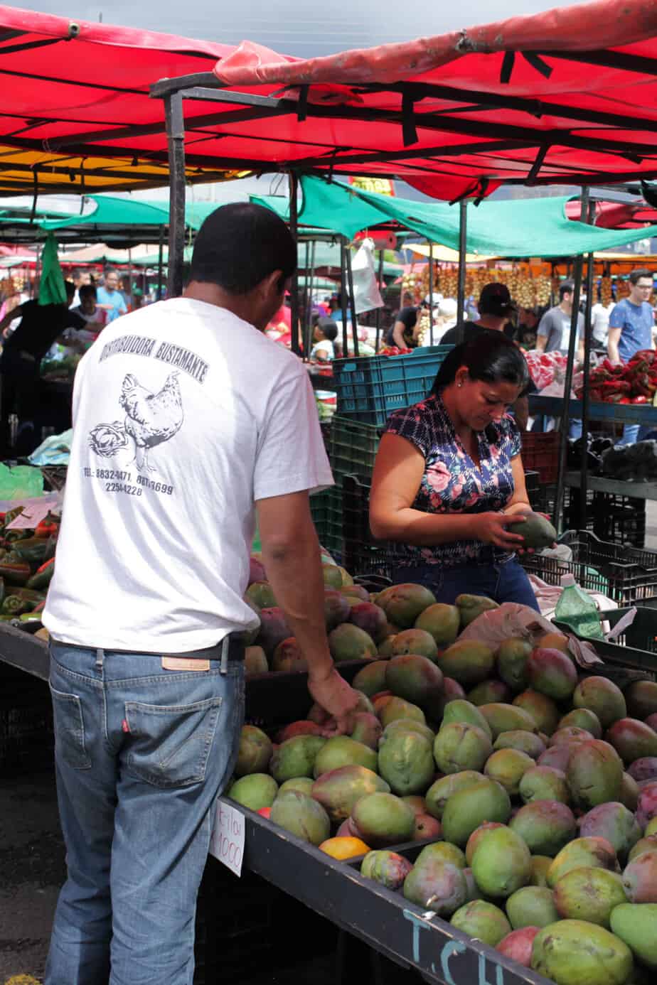 Farmers Market Costa Rica