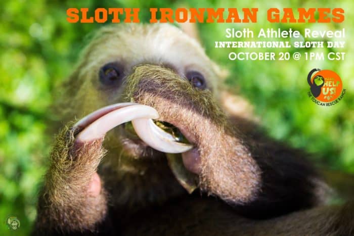 The 2019 Sloth Ironman Games