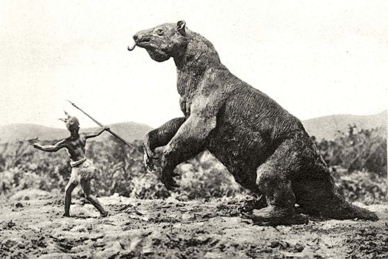 Sloth Vs. Marsupial: Uncovering The Evolutionary Puzzle - bkakf7k