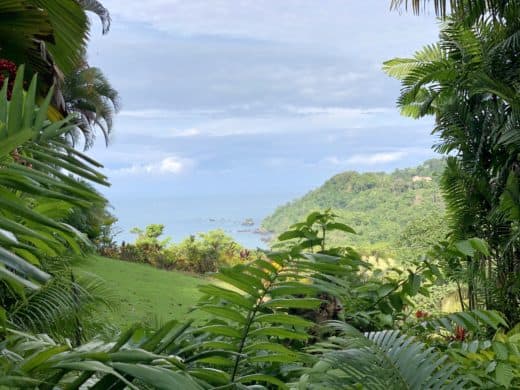 Pic of the Day: Morning views from Manuel Antonio