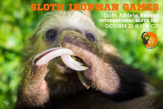 28 days until the fourth annual Sloth Ironman Games!