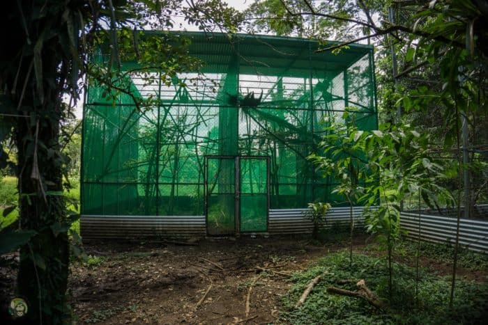 Sloth Pre-Release Enclosure