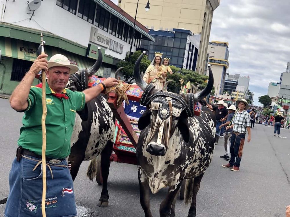 2019 National Oxcart Parade