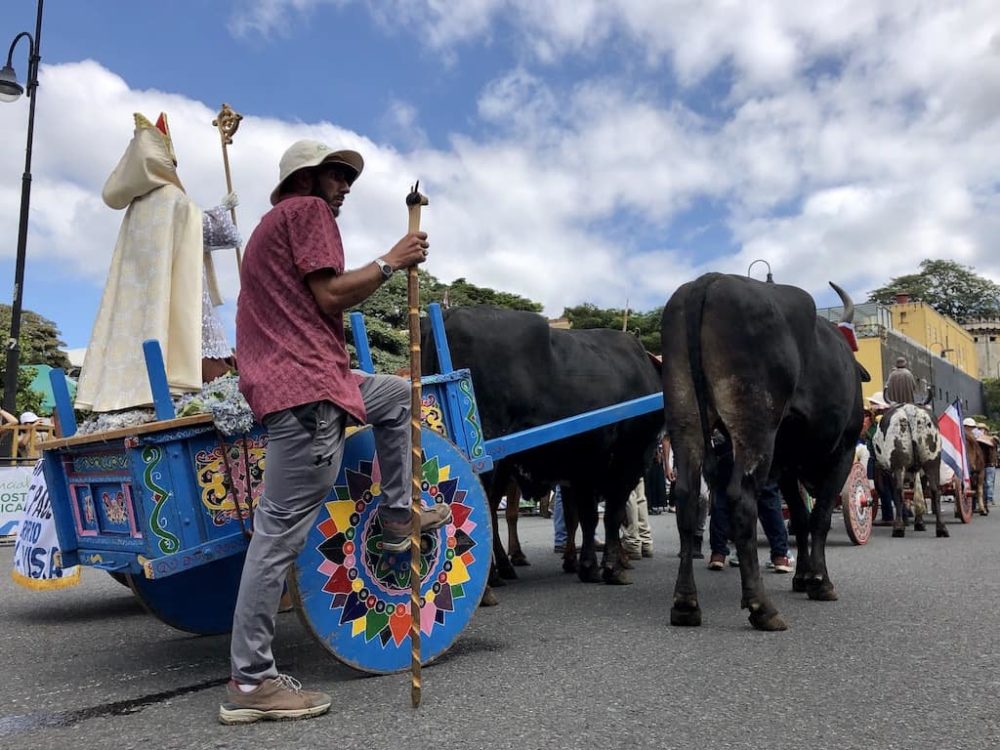2019 National Oxcart Parade
